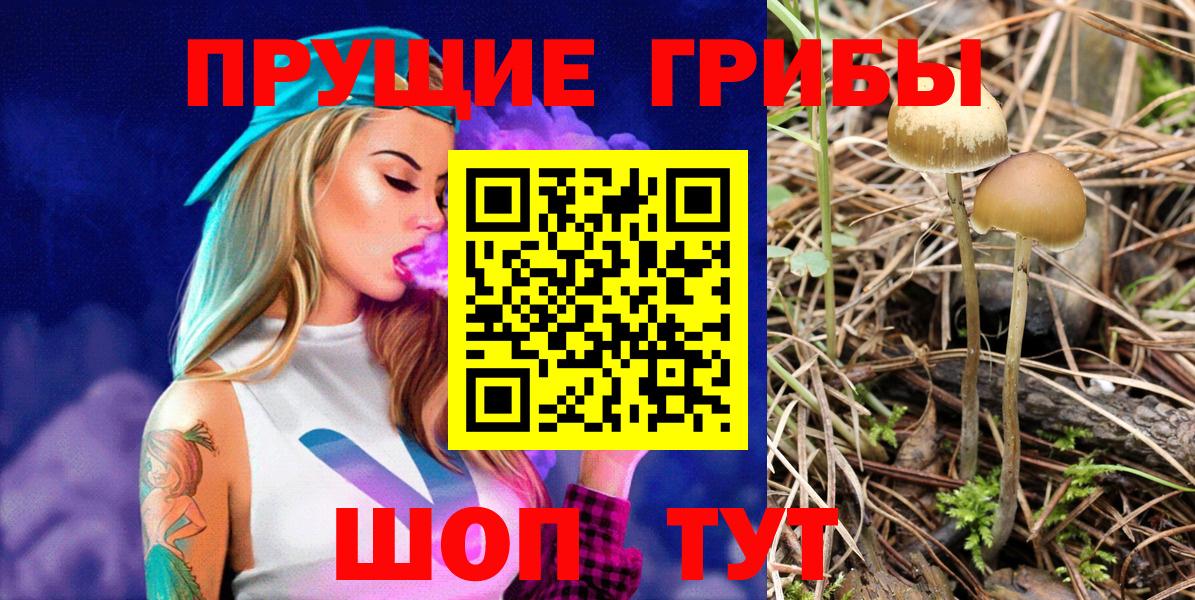Галлюциногенные грибы Cubensis  Вход с VPN  Россошь 
